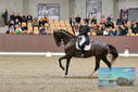 Filename=PT9_8456.JPG
Filesize=477KiB
Dimensions=1224x817
Date added=Oct 18, 2022 PT9_8456.JPG