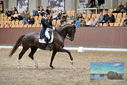 Filename=PT9_8458.JPG
Filesize=462KiB
Dimensions=1224x817
Date added=Oct 18, 2022 PT9_8458.JPG
