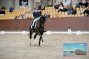 Filename=PT9_8461.JPG
Filesize=428KiB
Dimensions=1224x817
Date added=Oct 18, 2022 PT9_8461.JPG