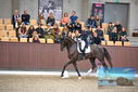 Filename=PT9_8463.JPG
Filesize=404KiB
Dimensions=1224x817
Date added=Oct 18, 2022 PT9_8463.JPG