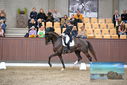 Filename=PT9_8464.JPG
Filesize=402KiB
Dimensions=1224x817
Date added=Oct 18, 2022 PT9_8464.JPG