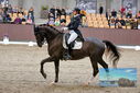 Filename=PT9_8466.JPG
Filesize=439KiB
Dimensions=1224x817
Date added=Oct 18, 2022 PT9_8466.JPG