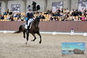 Filename=PT9_8467.JPG
Filesize=483KiB
Dimensions=1224x817
Date added=Oct 18, 2022 PT9_8467.JPG