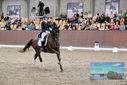 Filename=PT9_8468.JPG
Filesize=476KiB
Dimensions=1224x817
Date added=Oct 18, 2022 PT9_8468.JPG