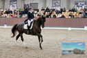 Filename=PT9_8470.JPG
Filesize=482KiB
Dimensions=1224x817
Date added=Oct 18, 2022 PT9_8470.JPG