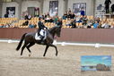 Filename=PT9_8478.JPG
Filesize=460KiB
Dimensions=1224x817
Date added=Oct 18, 2022 PT9_8478.JPG