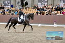 Filename=PT9_8480.JPG
Filesize=463KiB
Dimensions=1224x817
Date added=Oct 18, 2022 PT9_8480.JPG