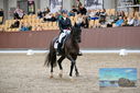 Filename=PT9_8484.JPG
Filesize=436KiB
Dimensions=1224x817
Date added=Oct 18, 2022 PT9_8484.JPG