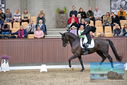 Filename=PT9_8488.JPG
Filesize=426KiB
Dimensions=1224x817
Date added=Oct 18, 2022 PT9_8488.JPG
