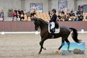 Filename=PT9_8489.JPG
Filesize=458KiB
Dimensions=1224x817
Date added=Oct 18, 2022 PT9_8489.JPG