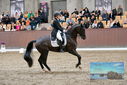 Filename=PT9_8494.JPG
Filesize=491KiB
Dimensions=1224x817
Date added=Oct 18, 2022 PT9_8494.JPG