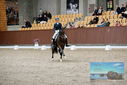 Filename=PT9_8503.JPG
Filesize=438KiB
Dimensions=1224x817
Date added=Oct 18, 2022 PT9_8503.JPG