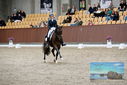 Filename=PT9_8504.JPG
Filesize=442KiB
Dimensions=1224x817
Date added=Oct 18, 2022 PT9_8504.JPG