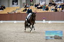 Filename=PT9_8505.JPG
Filesize=448KiB
Dimensions=1224x817
Date added=Oct 18, 2022 PT9_8505.JPG