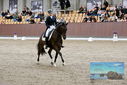 Filename=PT9_8507.JPG
Filesize=487KiB
Dimensions=1224x817
Date added=Oct 18, 2022 PT9_8507.JPG