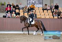 Filename=PT9_8509.JPG
Filesize=426KiB
Dimensions=1224x817
Date added=Oct 18, 2022 PT9_8509.JPG