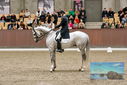 Filename=PT9_8511.JPG
Filesize=499KiB
Dimensions=1224x817
Date added=Oct 18, 2022 PT9_8511.JPG