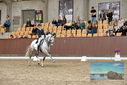 Filename=PT9_8518.JPG
Filesize=477KiB
Dimensions=1224x817
Date added=Oct 18, 2022 PT9_8518.JPG