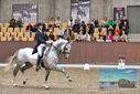 Filename=PT9_8522.JPG
Filesize=465KiB
Dimensions=1224x817
Date added=Oct 18, 2022 PT9_8522.JPG