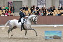 Filename=PT9_8523.JPG
Filesize=457KiB
Dimensions=1224x817
Date added=Oct 18, 2022 PT9_8523.JPG