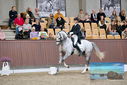 Filename=PT9_8526.JPG
Filesize=429KiB
Dimensions=1224x817
Date added=Oct 18, 2022 PT9_8526.JPG