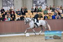 Filename=PT9_8528.JPG
Filesize=437KiB
Dimensions=1224x817
Date added=Oct 18, 2022 PT9_8528.JPG