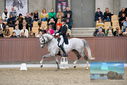 Filename=PT9_8529.JPG
Filesize=431KiB
Dimensions=1224x817
Date added=Oct 18, 2022 PT9_8529.JPG