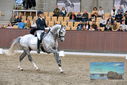 Filename=PT9_8532.JPG
Filesize=416KiB
Dimensions=1224x817
Date added=Oct 18, 2022 PT9_8532.JPG