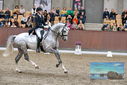 Filename=PT9_8533.JPG
Filesize=444KiB
Dimensions=1224x817
Date added=Oct 18, 2022 PT9_8533.JPG