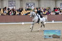 Filename=PT9_8534.JPG
Filesize=438KiB
Dimensions=1224x817
Date added=Oct 18, 2022 PT9_8534.JPG