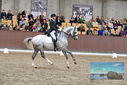 Filename=PT9_8535.JPG
Filesize=494KiB
Dimensions=1224x817
Date added=Oct 18, 2022 PT9_8535.JPG