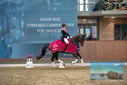Filename=PT9_8564.JPG
Filesize=397KiB
Dimensions=1224x817
Date added=Oct 18, 2022 PT9_8564.JPG