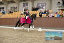Filename=PT9_8570.JPG
Filesize=443KiB
Dimensions=1224x817
Date added=Oct 18, 2022 PT9_8570.JPG