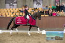 Filename=PT9_8571.JPG
Filesize=413KiB
Dimensions=1224x817
Date added=Oct 18, 2022 PT9_8571.JPG