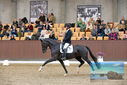 Filename=PT9_8600.JPG
Filesize=402KiB
Dimensions=1224x817
Date added=Oct 18, 2022 PT9_8600.JPG