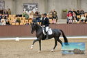 Filename=PT9_8603.JPG
Filesize=445KiB
Dimensions=1224x817
Date added=Oct 18, 2022 PT9_8603.JPG