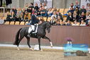 Filename=PT9_8605.JPG
Filesize=441KiB
Dimensions=1224x817
Date added=Oct 18, 2022 PT9_8605.JPG