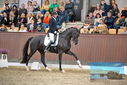 Filename=PT9_8606.JPG
Filesize=453KiB
Dimensions=1224x817
Date added=Oct 18, 2022 PT9_8606.JPG