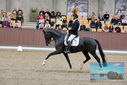 Filename=PT9_8607.JPG
Filesize=420KiB
Dimensions=1224x817
Date added=Oct 18, 2022 PT9_8607.JPG