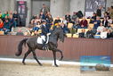 Filename=PT9_8609.JPG
Filesize=453KiB
Dimensions=1224x817
Date added=Oct 18, 2022 PT9_8609.JPG