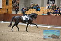 Filename=PT9_8614.JPG
Filesize=440KiB
Dimensions=1224x817
Date added=Oct 18, 2022 PT9_8614.JPG