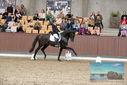 Filename=PT9_8621.JPG
Filesize=483KiB
Dimensions=1224x817
Date added=Oct 18, 2022 PT9_8621.JPG