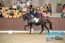 Filename=PT9_8622.JPG
Filesize=438KiB
Dimensions=1224x817
Date added=Oct 18, 2022 PT9_8622.JPG