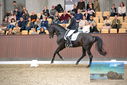 Filename=PT9_8623.JPG
Filesize=425KiB
Dimensions=1224x817
Date added=Oct 18, 2022 PT9_8623.JPG