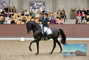 Filename=PT9_8626.JPG
Filesize=461KiB
Dimensions=1224x817
Date added=Oct 18, 2022 PT9_8626.JPG