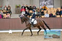 Filename=PT9_8628.JPG
Filesize=400KiB
Dimensions=1224x817
Date added=Oct 18, 2022 PT9_8628.JPG
