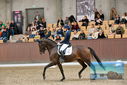 Filename=PT9_8630.JPG
Filesize=412KiB
Dimensions=1224x817
Date added=Oct 18, 2022 PT9_8630.JPG