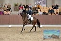 Filename=PT9_8633.JPG
Filesize=454KiB
Dimensions=1224x817
Date added=Oct 18, 2022 PT9_8633.JPG