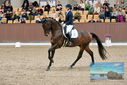 Filename=PT9_8634.JPG
Filesize=497KiB
Dimensions=1224x817
Date added=Oct 18, 2022 PT9_8634.JPG
