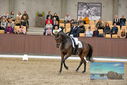 Filename=PT9_8645.JPG
Filesize=442KiB
Dimensions=1224x817
Date added=Oct 18, 2022 PT9_8645.JPG